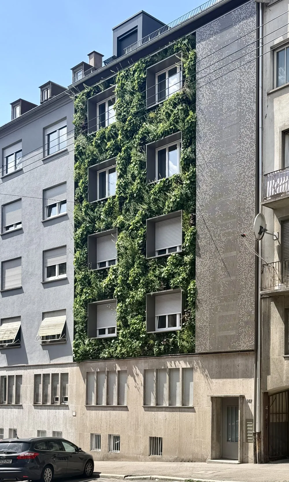 Fassadenbegrünung Mehrfamilienhaus – Bild 2