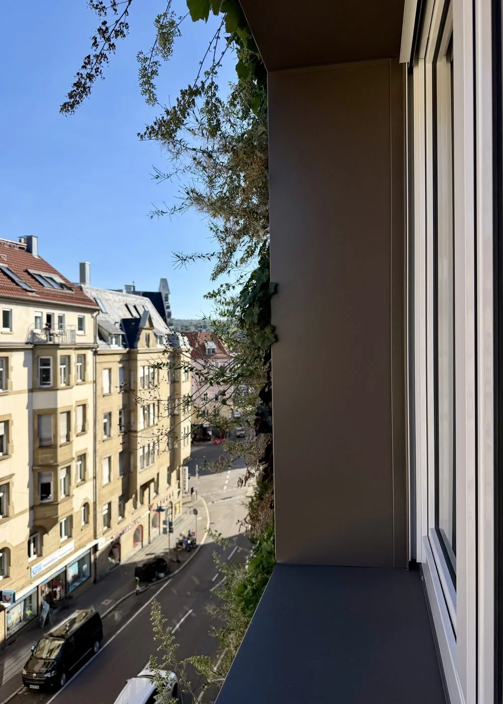 Fassadenbegrünung Mehrfamilienhaus – Bild 6